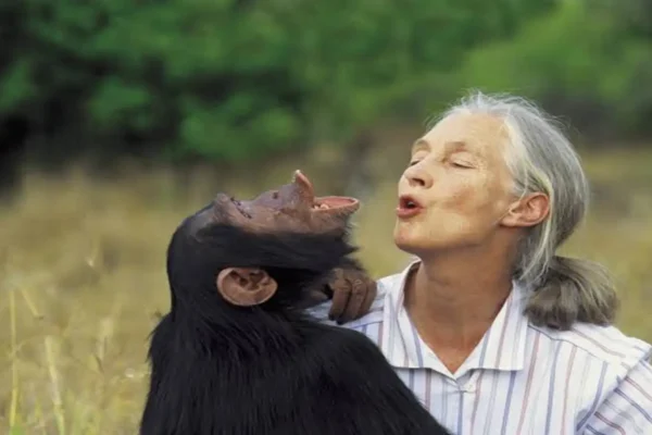 ARUSHA TO KEEP JANE GOODALL’S LEGACY ALIVE